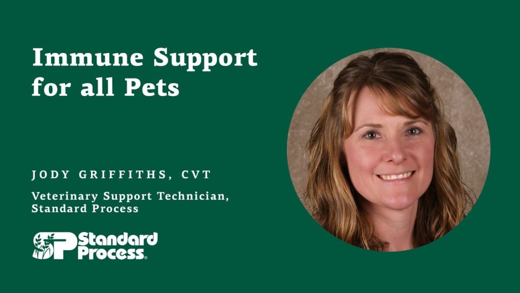 Immune support for all pets