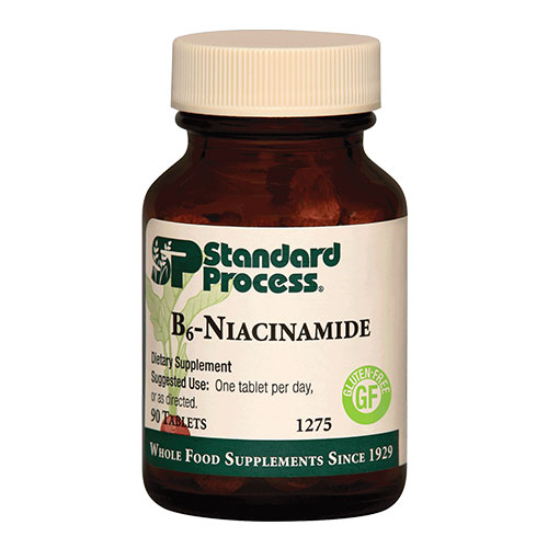 Standard Process Niacinamide B6